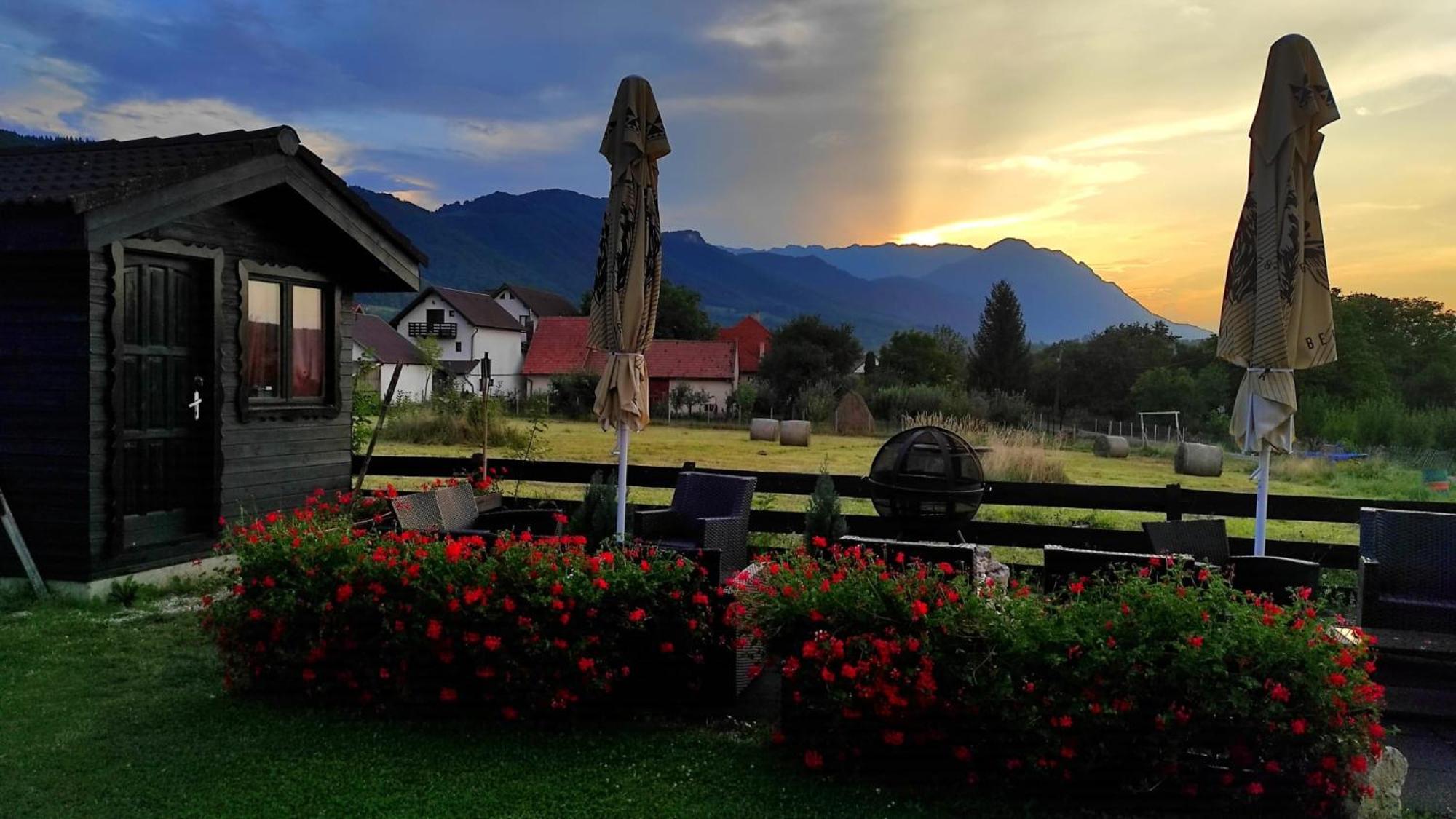 Villa Siana Бран Экстерьер фото